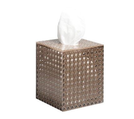 Snevayig Reed Tissue Box in Brown