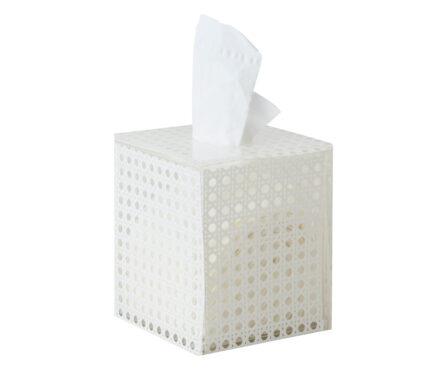 Snevayig Reed Tissue Box in White
