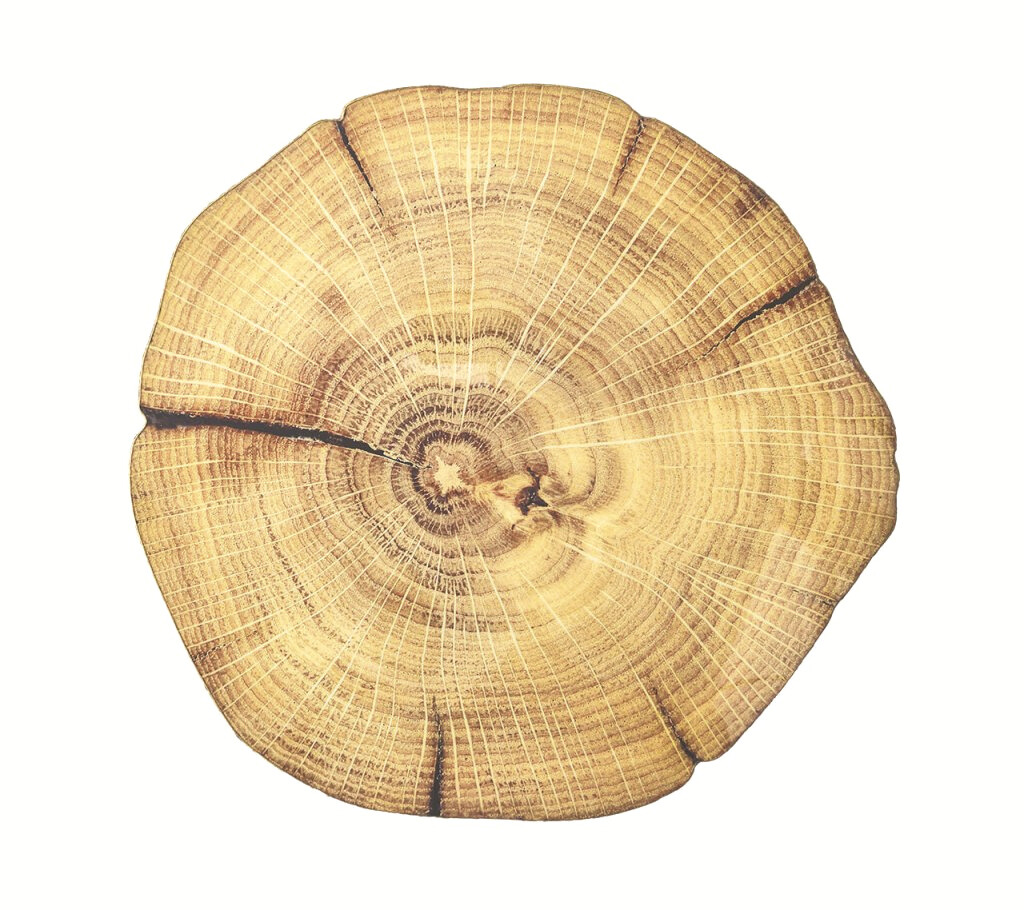 retail_website_listing_images_size_19.png